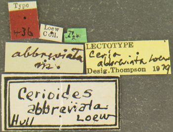 Media type: image;   Entomology 436 Aspect: labels